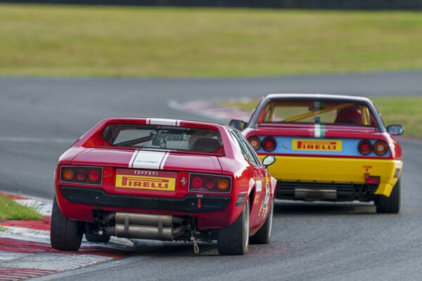 2025 Series Registration - Image 4